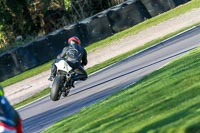 Oulton-Park-20th-March-2020;PJ-Motorsport-Photography-2020;anglesey;brands-hatch;cadwell-park;croft;donington-park;enduro-digital-images;event-digital-images;eventdigitalimages;mallory;no-limits;oulton-park;peter-wileman-photography;racing-digital-images;silverstone;snetterton;trackday-digital-images;trackday-photos;vmcc-banbury-run;welsh-2-day-enduro